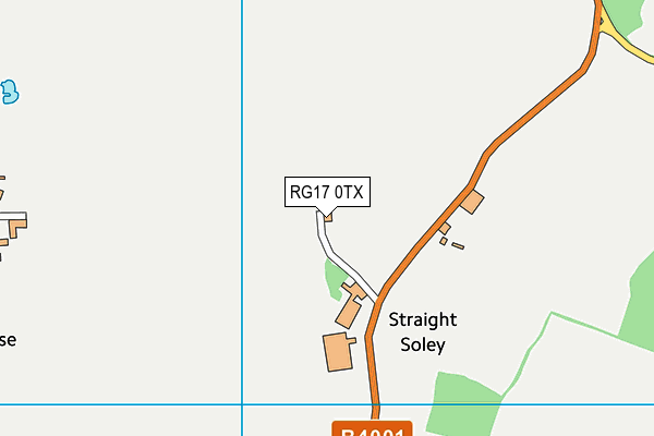 RG17 0TX map - OS VectorMap District (Ordnance Survey)