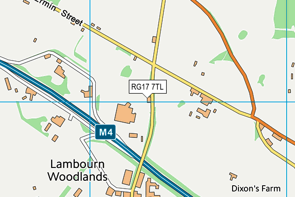 RG17 7TL map - OS VectorMap District (Ordnance Survey)