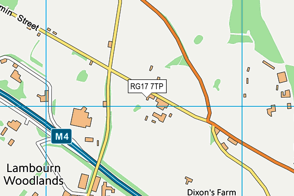 RG17 7TP map - OS VectorMap District (Ordnance Survey)