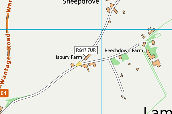 RG17 7UR map - OS VectorMap District (Ordnance Survey)