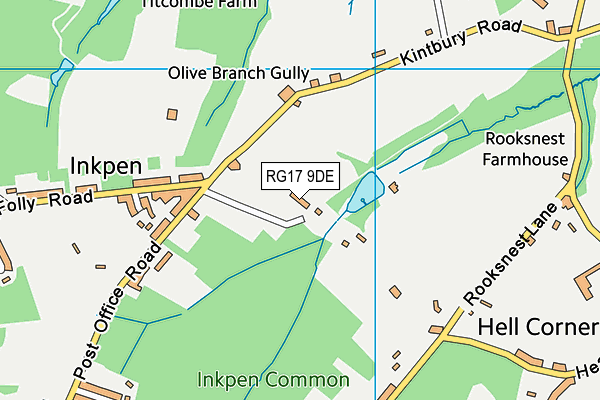 RG17 9DE map - OS VectorMap District (Ordnance Survey)