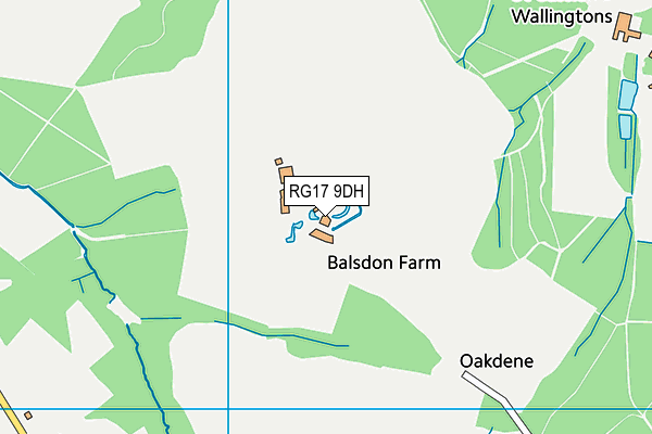 RG17 9DH map - OS VectorMap District (Ordnance Survey)