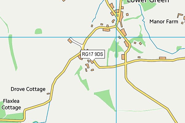 RG17 9DS map - OS VectorMap District (Ordnance Survey)