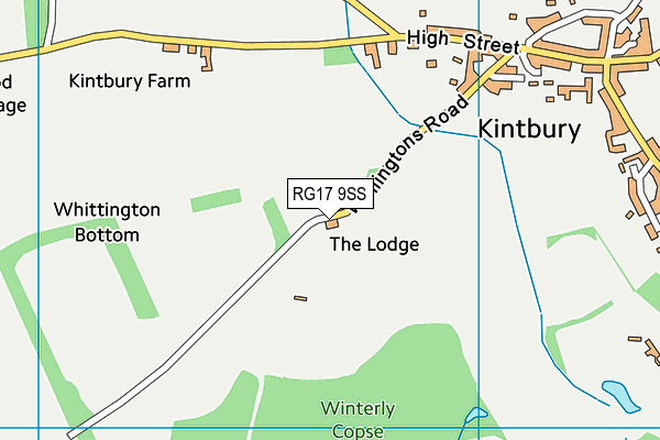 RG17 9SS map - OS VectorMap District (Ordnance Survey)