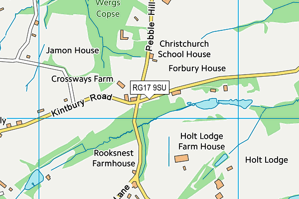 RG17 9SU map - OS VectorMap District (Ordnance Survey)