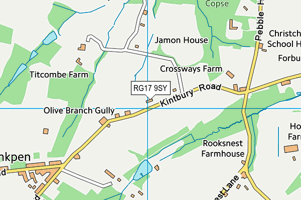 RG17 9SY map - OS VectorMap District (Ordnance Survey)