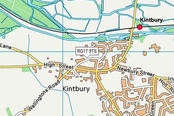 RG17 9TS map - OS VectorMap District (Ordnance Survey)