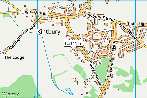 RG17 9TY map - OS VectorMap District (Ordnance Survey)