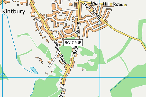 RG17 9UB map - OS VectorMap District (Ordnance Survey)