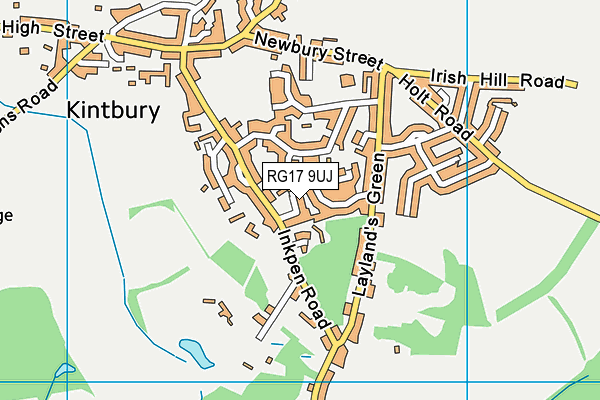 RG17 9UJ map - OS VectorMap District (Ordnance Survey)