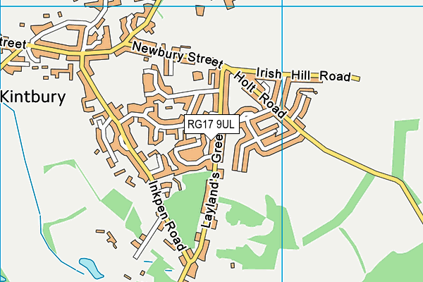 RG17 9UL map - OS VectorMap District (Ordnance Survey)