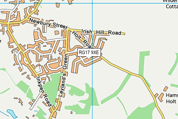 RG17 9XE map - OS VectorMap District (Ordnance Survey)