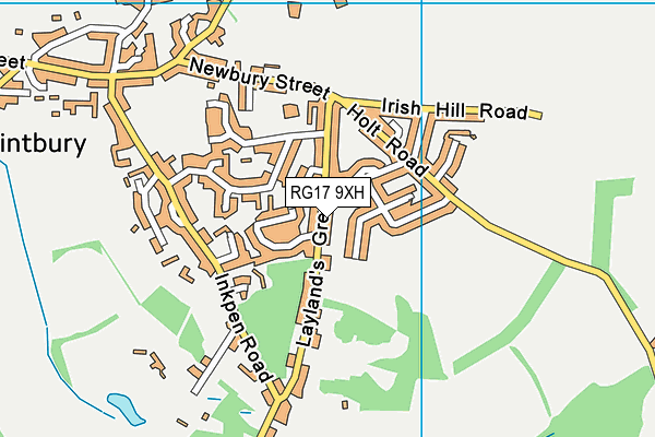 RG17 9XH map - OS VectorMap District (Ordnance Survey)