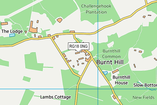 RG18 0NG map - OS VectorMap District (Ordnance Survey)