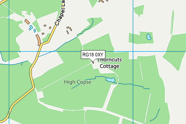 RG18 0XY map - OS VectorMap District (Ordnance Survey)