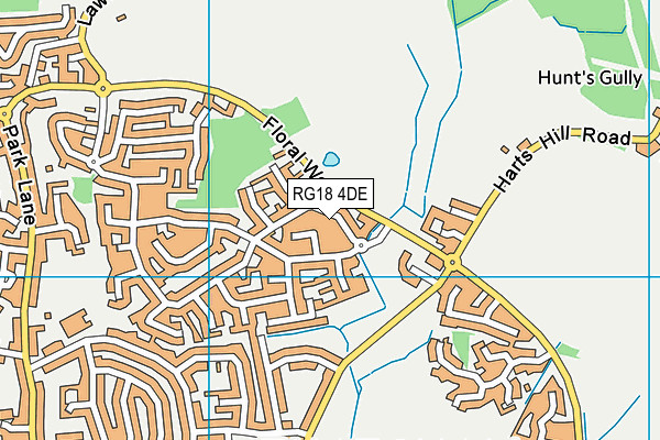 RG18 4DE map - OS VectorMap District (Ordnance Survey)