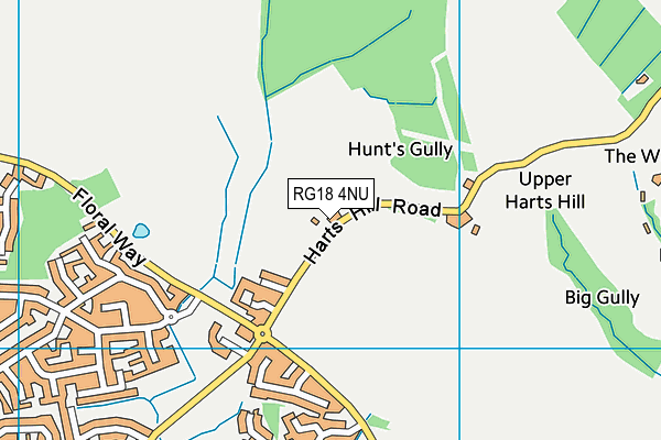 RG18 4NU map - OS VectorMap District (Ordnance Survey)