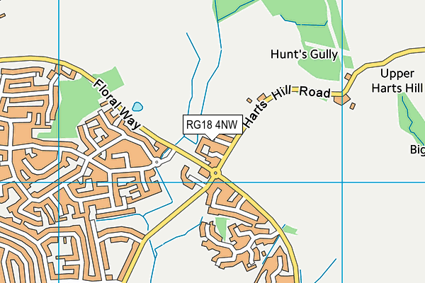 RG18 4NW map - OS VectorMap District (Ordnance Survey)