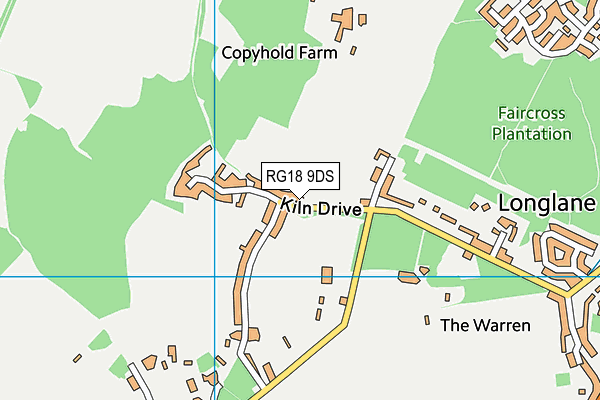 RG18 9DS map - OS VectorMap District (Ordnance Survey)