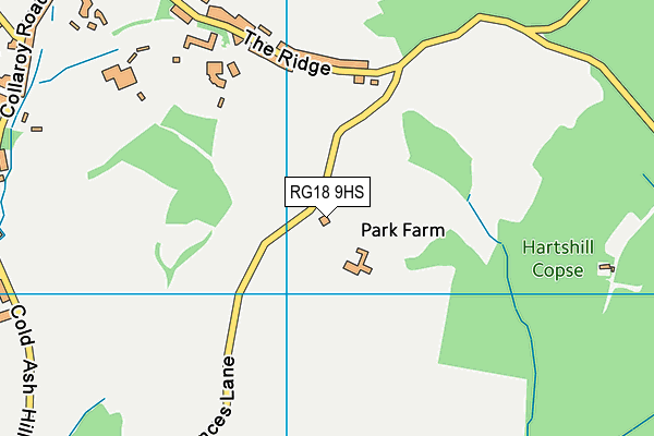 RG18 9HS map - OS VectorMap District (Ordnance Survey)