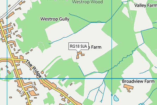 RG18 9JA map - OS VectorMap District (Ordnance Survey)