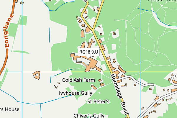 Downe House School Sports Centre map (RG18 9JJ) - OS VectorMap District (Ordnance Survey)