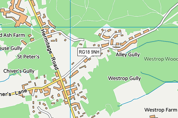 RG18 9NH map - OS VectorMap District (Ordnance Survey)