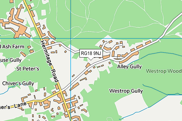 RG18 9NJ map - OS VectorMap District (Ordnance Survey)