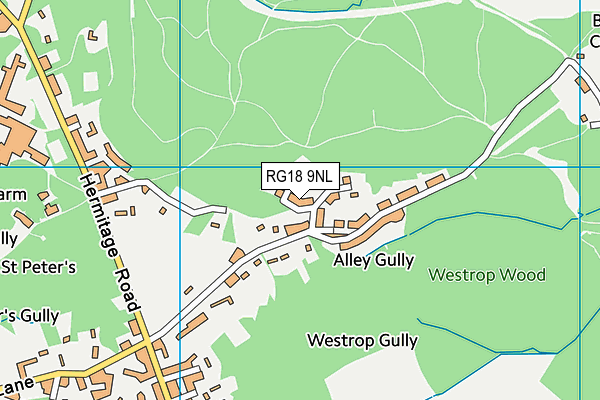 RG18 9NL map - OS VectorMap District (Ordnance Survey)