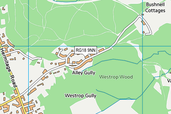 RG18 9NN map - OS VectorMap District (Ordnance Survey)