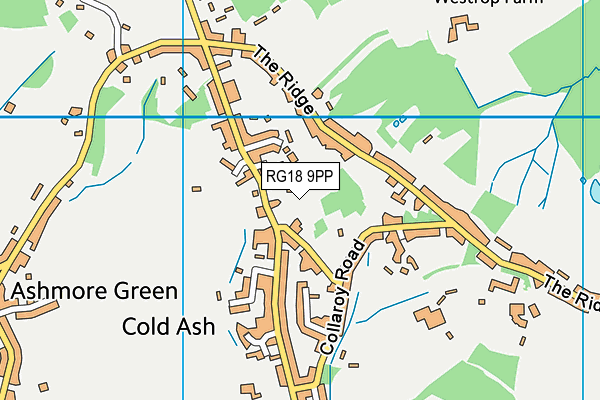 RG18 9PP map - OS VectorMap District (Ordnance Survey)