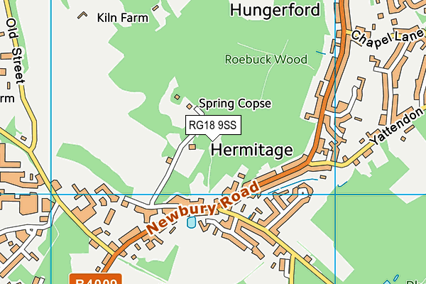 RG18 9SS map - OS VectorMap District (Ordnance Survey)