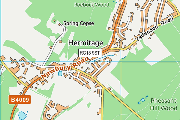 RG18 9ST map - OS VectorMap District (Ordnance Survey)