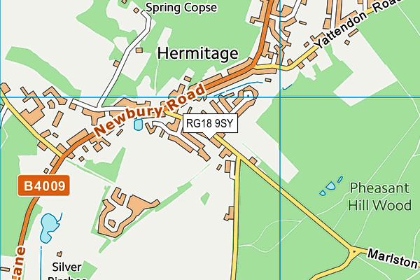 RG18 9SY map - OS VectorMap District (Ordnance Survey)