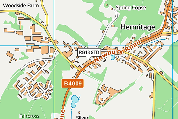 RG18 9TD map - OS VectorMap District (Ordnance Survey)