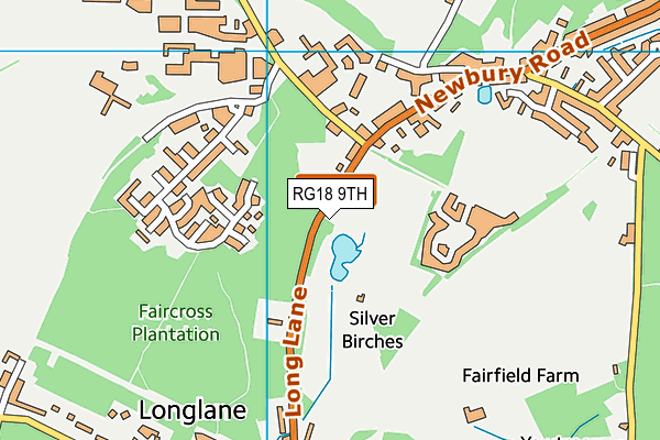 RG18 9TH map - OS VectorMap District (Ordnance Survey)