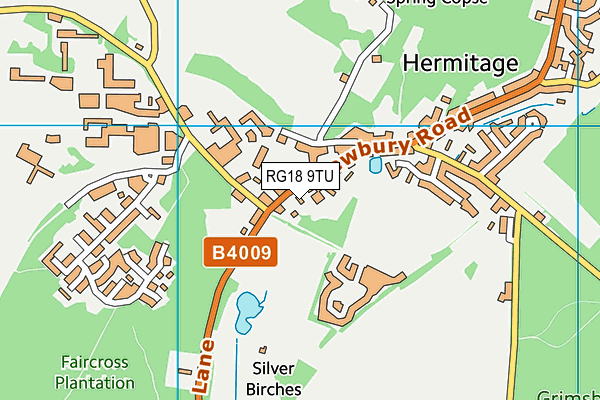 RG18 9TU map - OS VectorMap District (Ordnance Survey)