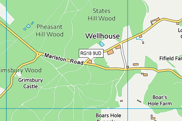 RG18 9UD map - OS VectorMap District (Ordnance Survey)