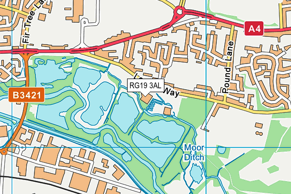 RG19 3AL map - OS VectorMap District (Ordnance Survey)