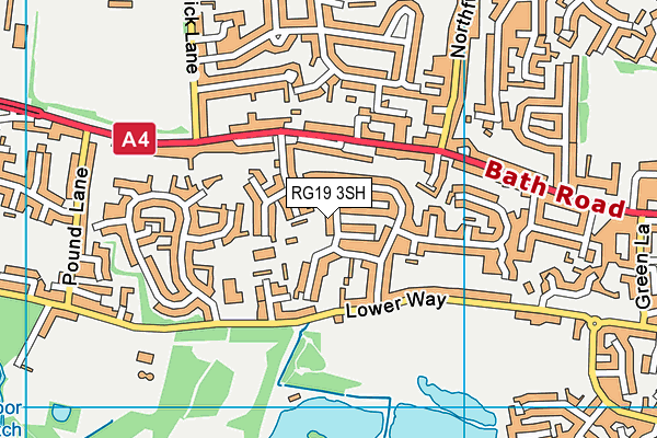 RG19 3SH map - OS VectorMap District (Ordnance Survey)
