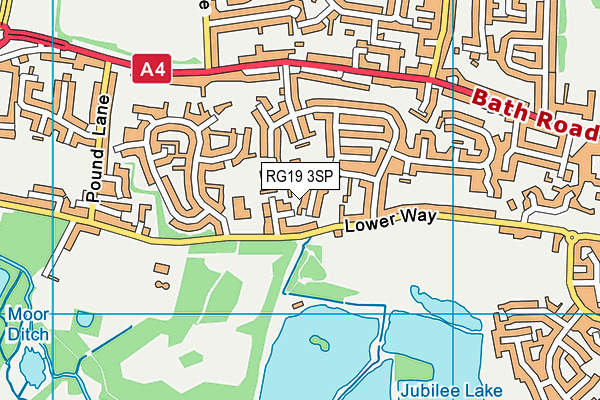 RG19 3SP map - OS VectorMap District (Ordnance Survey)