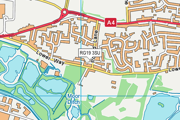 RG19 3SU map - OS VectorMap District (Ordnance Survey)