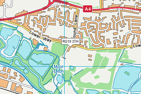 RG19 3TH map - OS VectorMap District (Ordnance Survey)