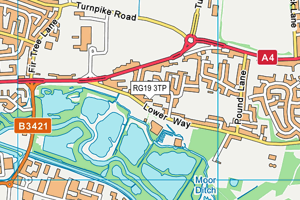 RG19 3TP map - OS VectorMap District (Ordnance Survey)