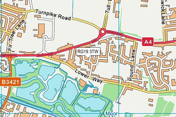 RG19 3TW map - OS VectorMap District (Ordnance Survey)