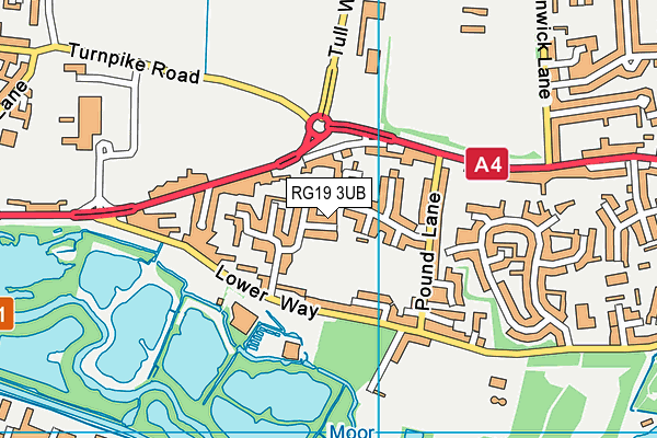 RG19 3UB map - OS VectorMap District (Ordnance Survey)