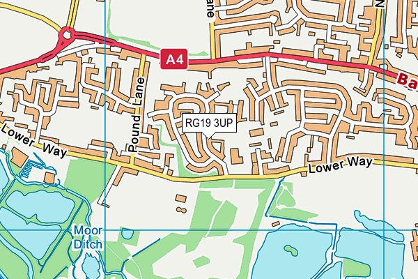 RG19 3UP map - OS VectorMap District (Ordnance Survey)
