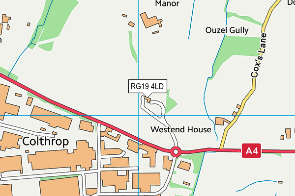 RG19 4LD map - OS VectorMap District (Ordnance Survey)