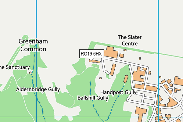 RG19 6HX map - OS VectorMap District (Ordnance Survey)