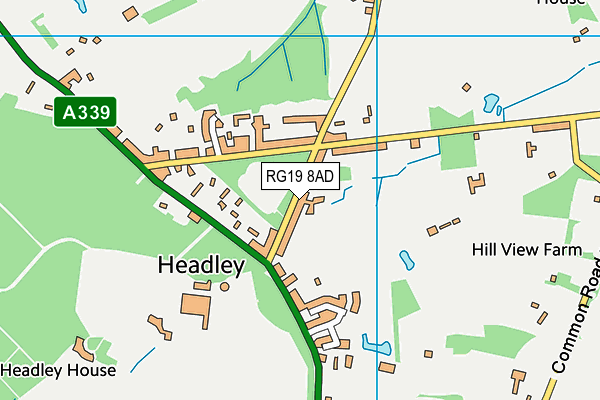 RG19 8AD map - OS VectorMap District (Ordnance Survey)